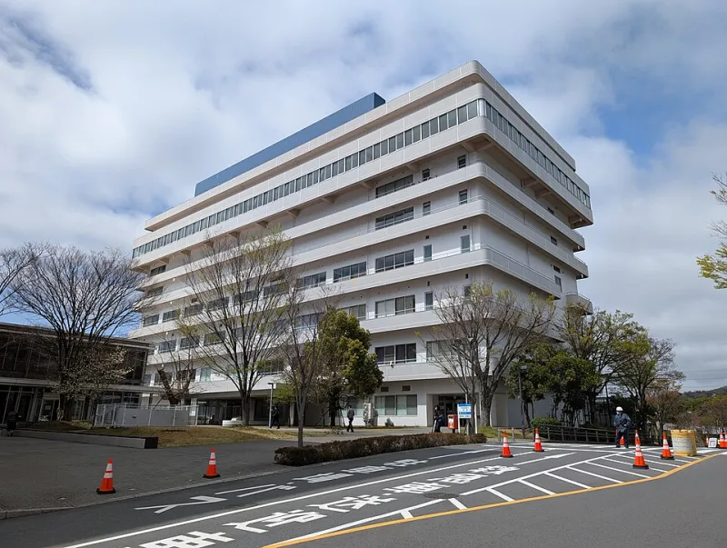 Japan Scholarships and American Students: What the Brochures Don't Tell You